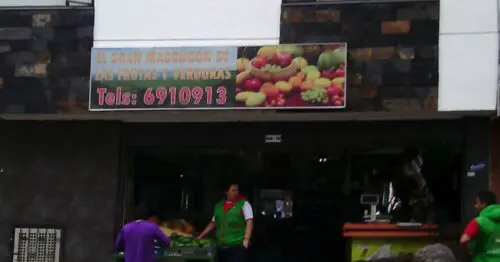 EL GRAN MADRUGON DE FRUTAS Y VERDURAS EL GRAN MADRUGON DE FRUTAS Y VERDURAS